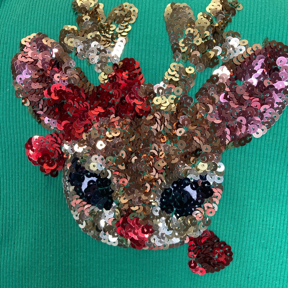 Christmas dress with bling Rudolph, size 6/6x.